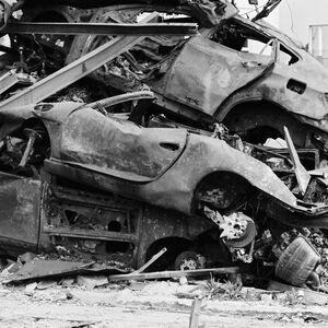 Feudebengale photo #0057