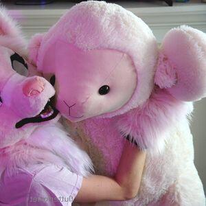 flutterfoxlet photo #0020