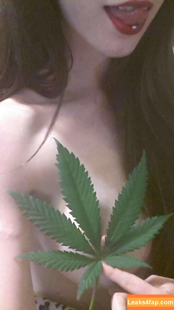 ForestNymph / Forest_Nymph / angelmusk_ / forestnymphmfc / forestnymphnz leaked photo photo #0404