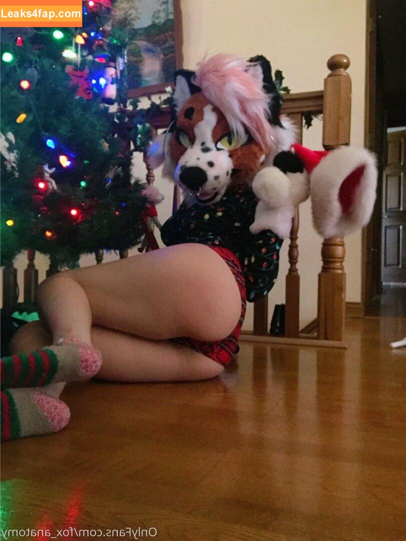 fox_anatomy /  leaked photo photo #0031