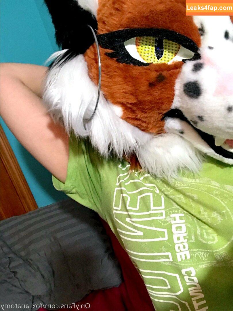 fox_anatomy /  leaked photo photo #0045