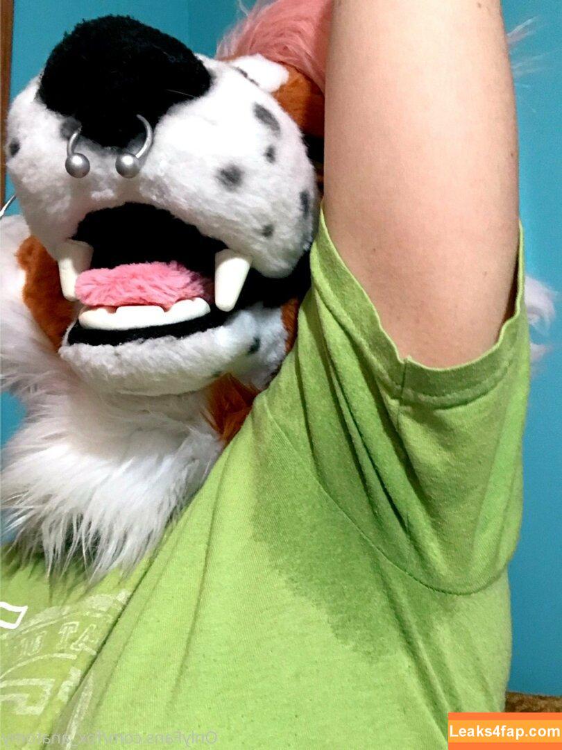 fox_anatomy /  leaked photo photo #0046