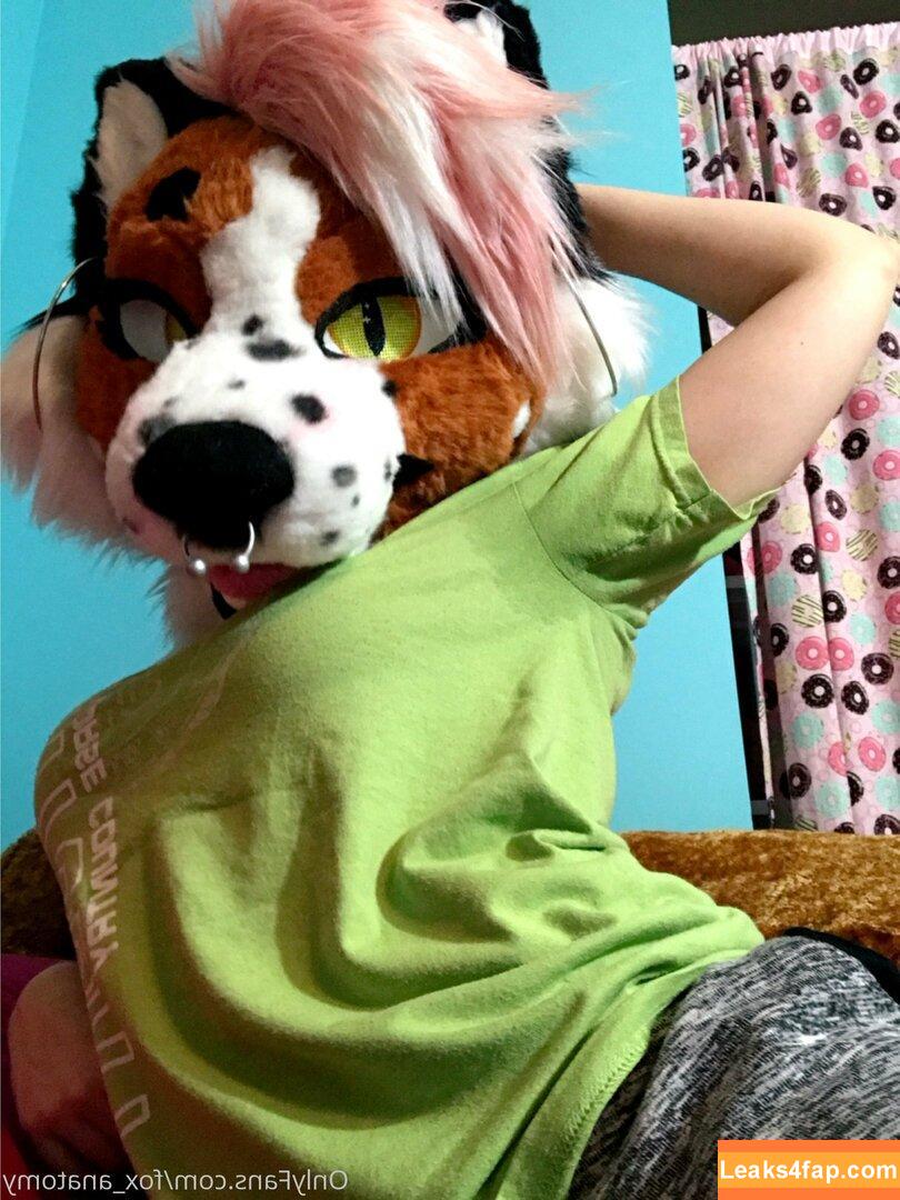 fox_anatomy /  leaked photo photo #0047