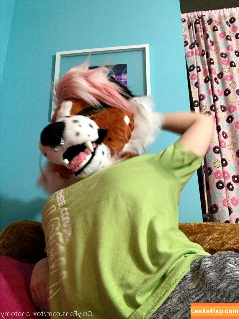 fox_anatomy /  leaked photo photo #0048