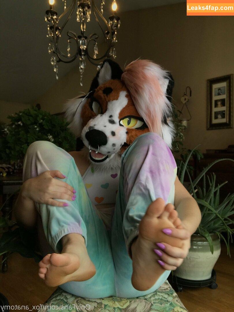 fox_anatomy /  leaked photo photo #0064