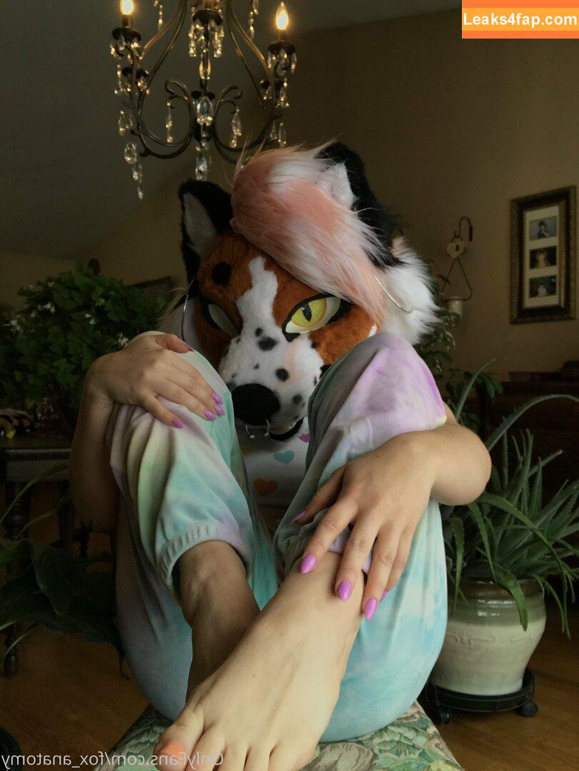 fox_anatomy /  leaked photo photo #0065