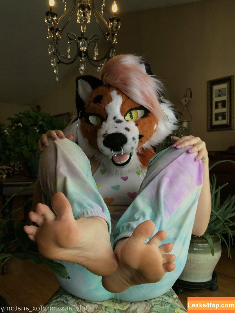 fox_anatomy /  leaked photo photo #0067