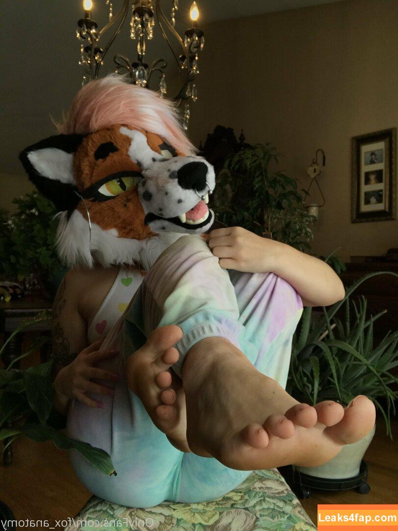 fox_anatomy /  leaked photo photo #0068
