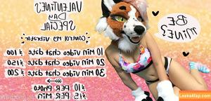 fox_anatomy photo #0043