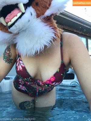fox_anatomy photo #0082