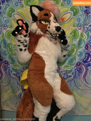 fox_anatomy photo #0204