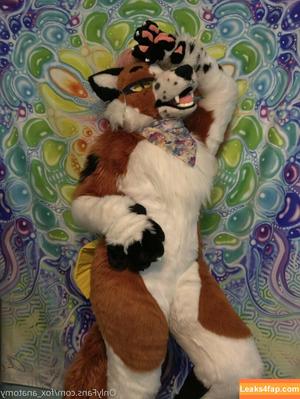 fox_anatomy photo #0205