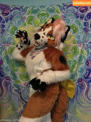 fox_anatomy photo #0206
