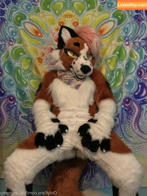 fox_anatomy photo #0214