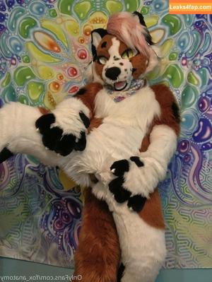 fox_anatomy photo #0216