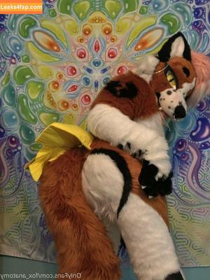 fox_anatomy photo #0227