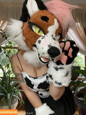 fox_anatomy photo #0276