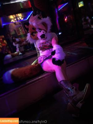 fox_anatomy фото #0500
