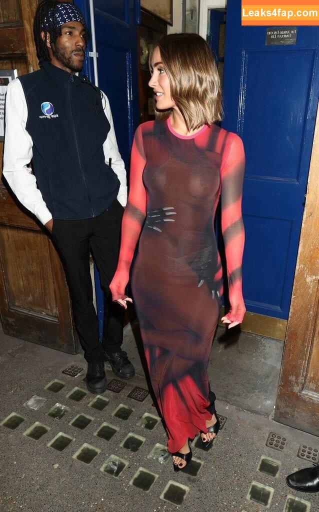 Frankie Bridge / Frankie Sandford (The Saturdays / frankiebridge слитое фото фото #1020