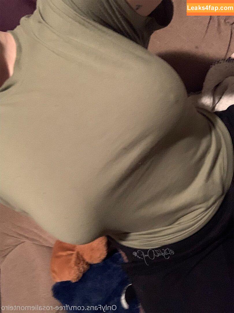 free-radiantlyrowan /  leaked photo photo #0018