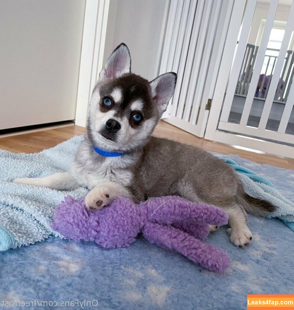 freefrost / frost2sechs leaked photo photo #0013