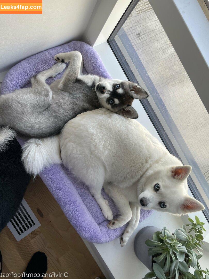 freefrost / frost2sechs leaked photo photo #0042