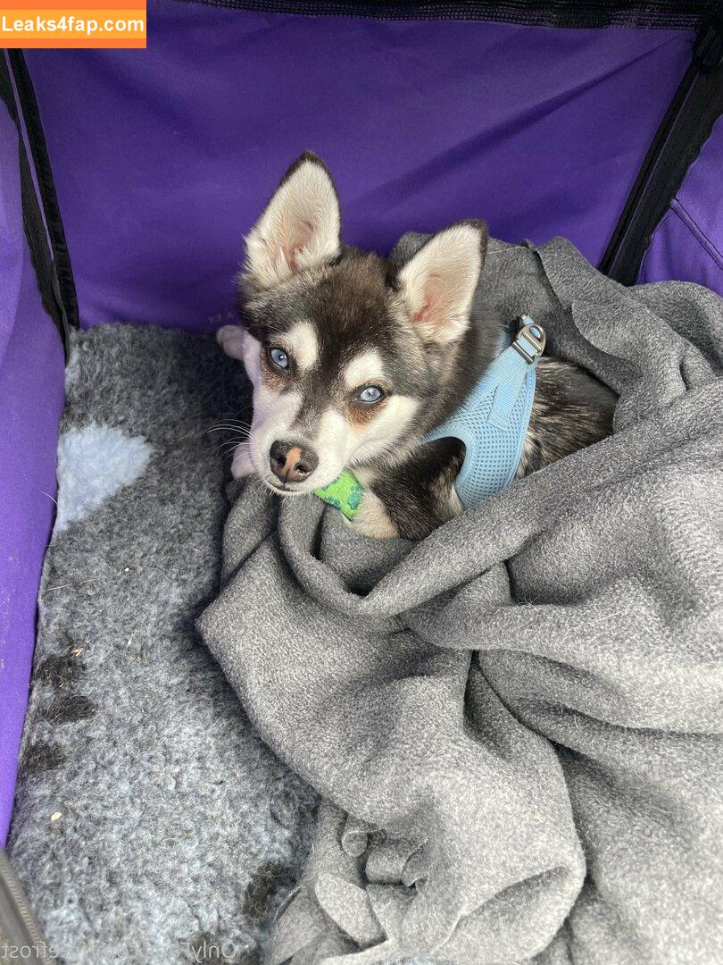 freefrost / frost2sechs leaked photo photo #0075