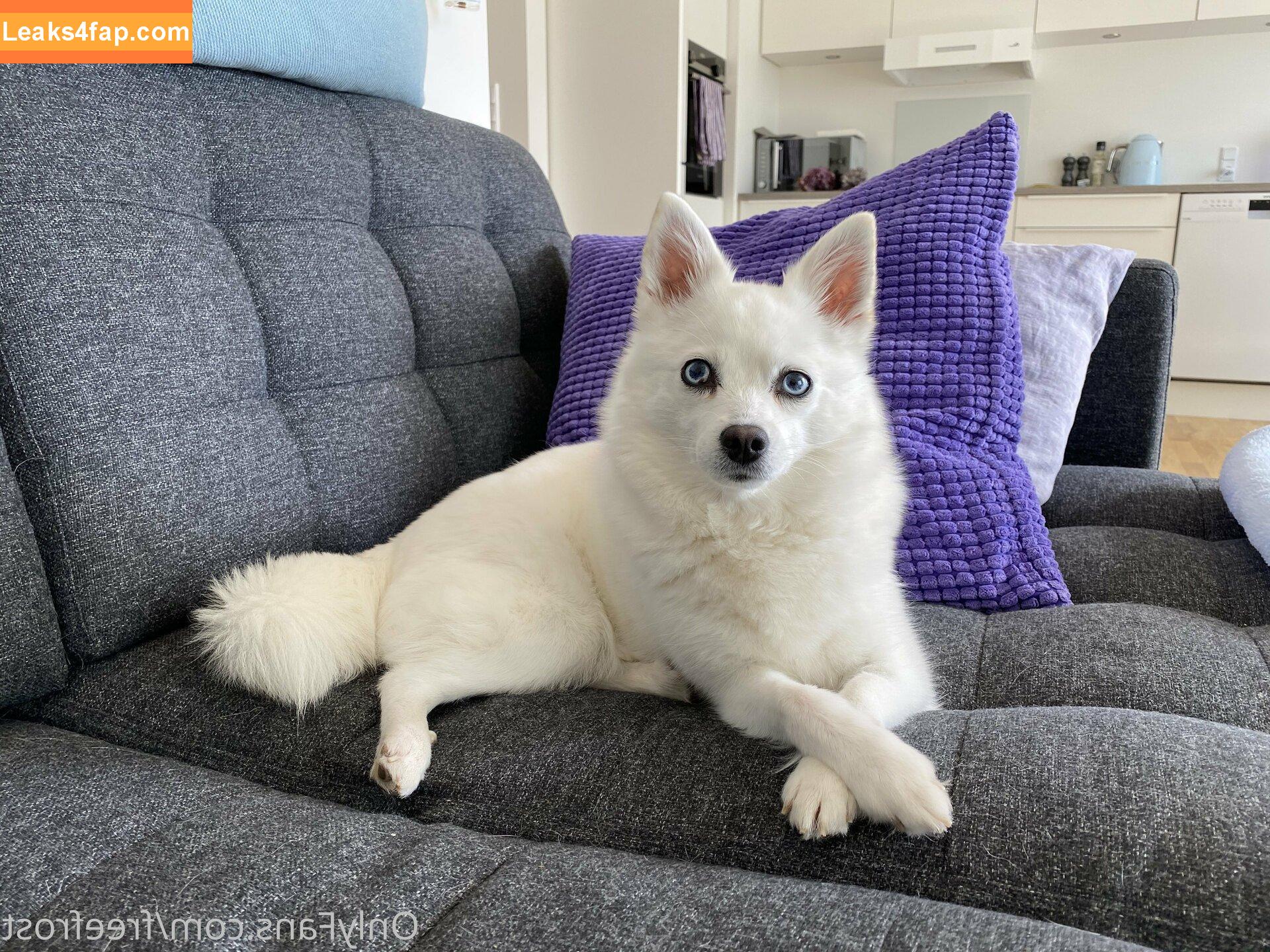 freefrost / frost2sechs leaked photo photo #0252