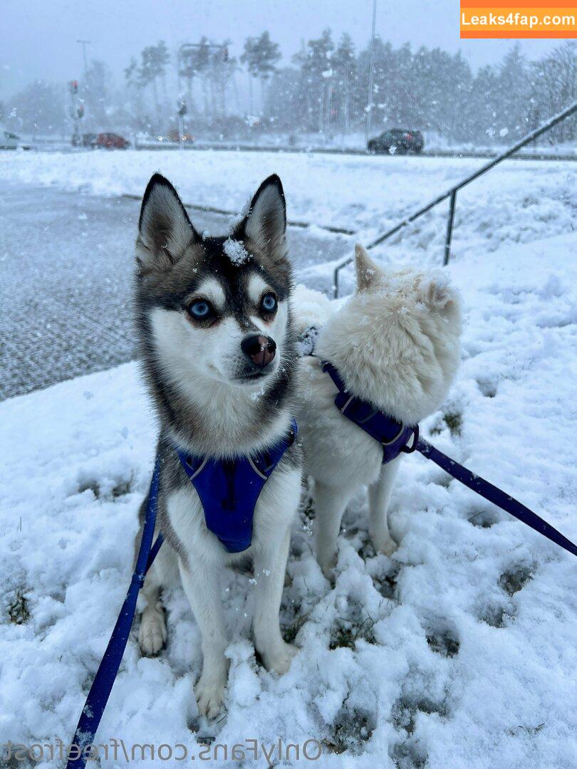 freefrost /  leaked photo photo #0419