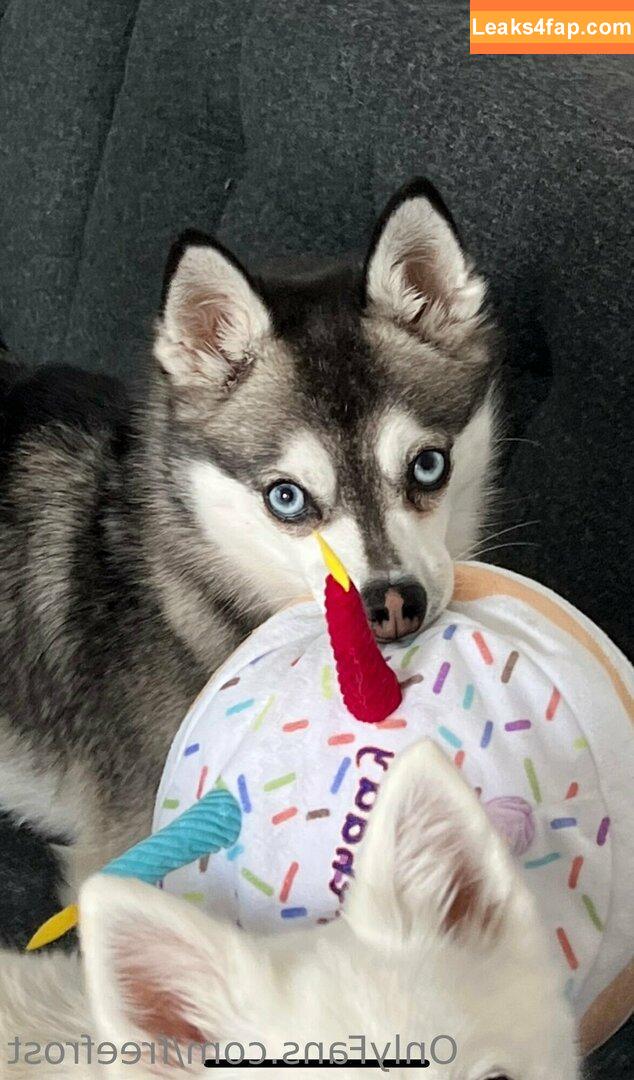 freefrost /  leaked photo photo #0479