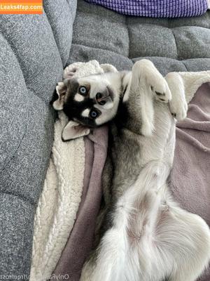 freefrost photo #0055