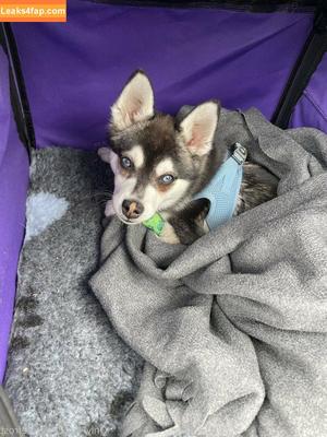 freefrost photo #0075