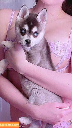 freefrost photo #0119