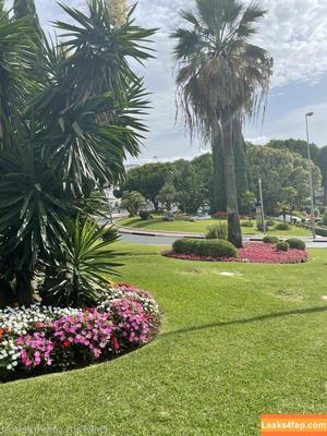 freefrost photo #0177