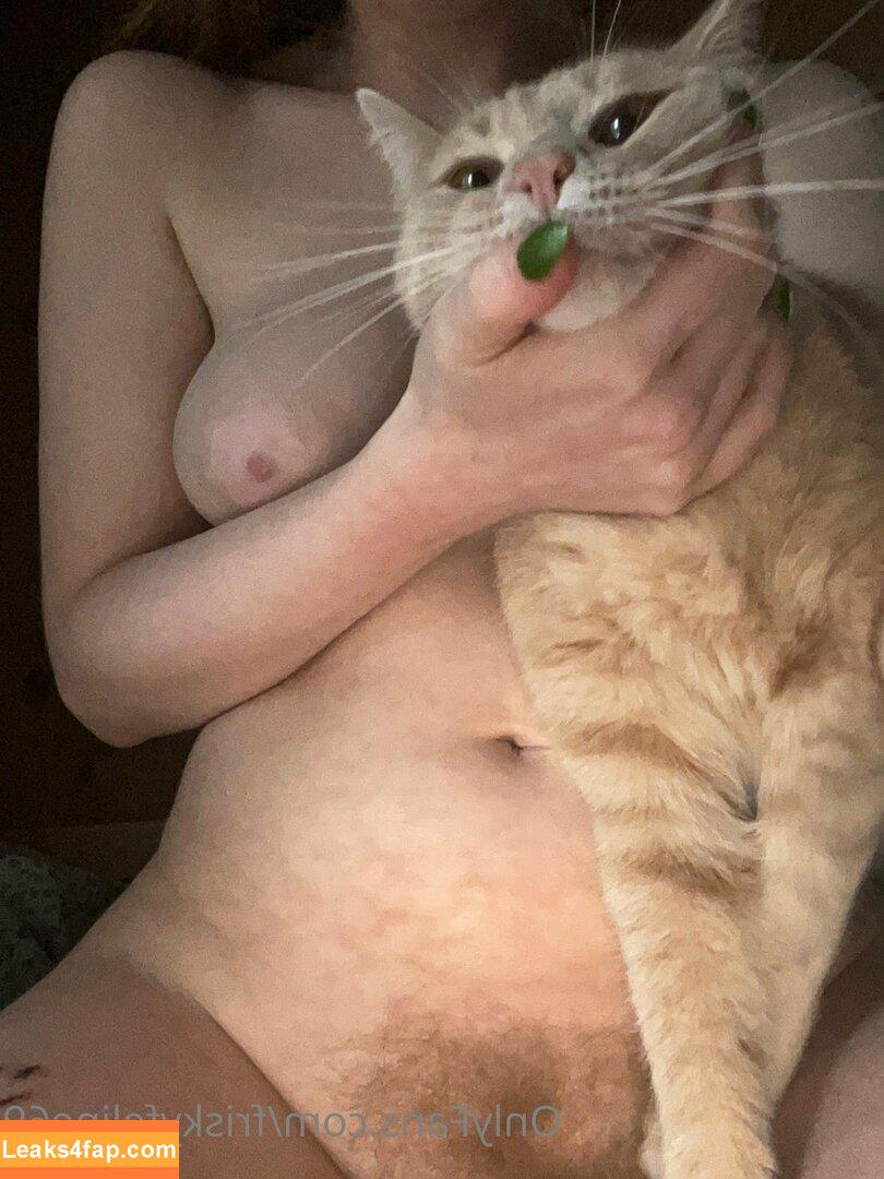 friskyfeline69 / 0f6t leaked photo photo #0038