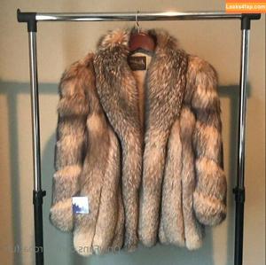 furcoatlove photo #0004