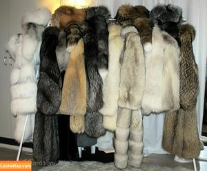 furcoatlove photo #0015