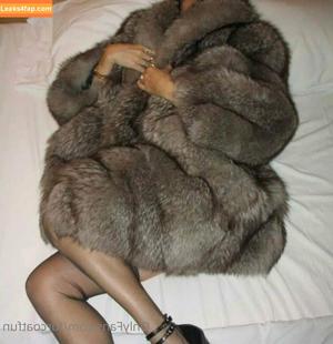 furcoatlove photo #0016