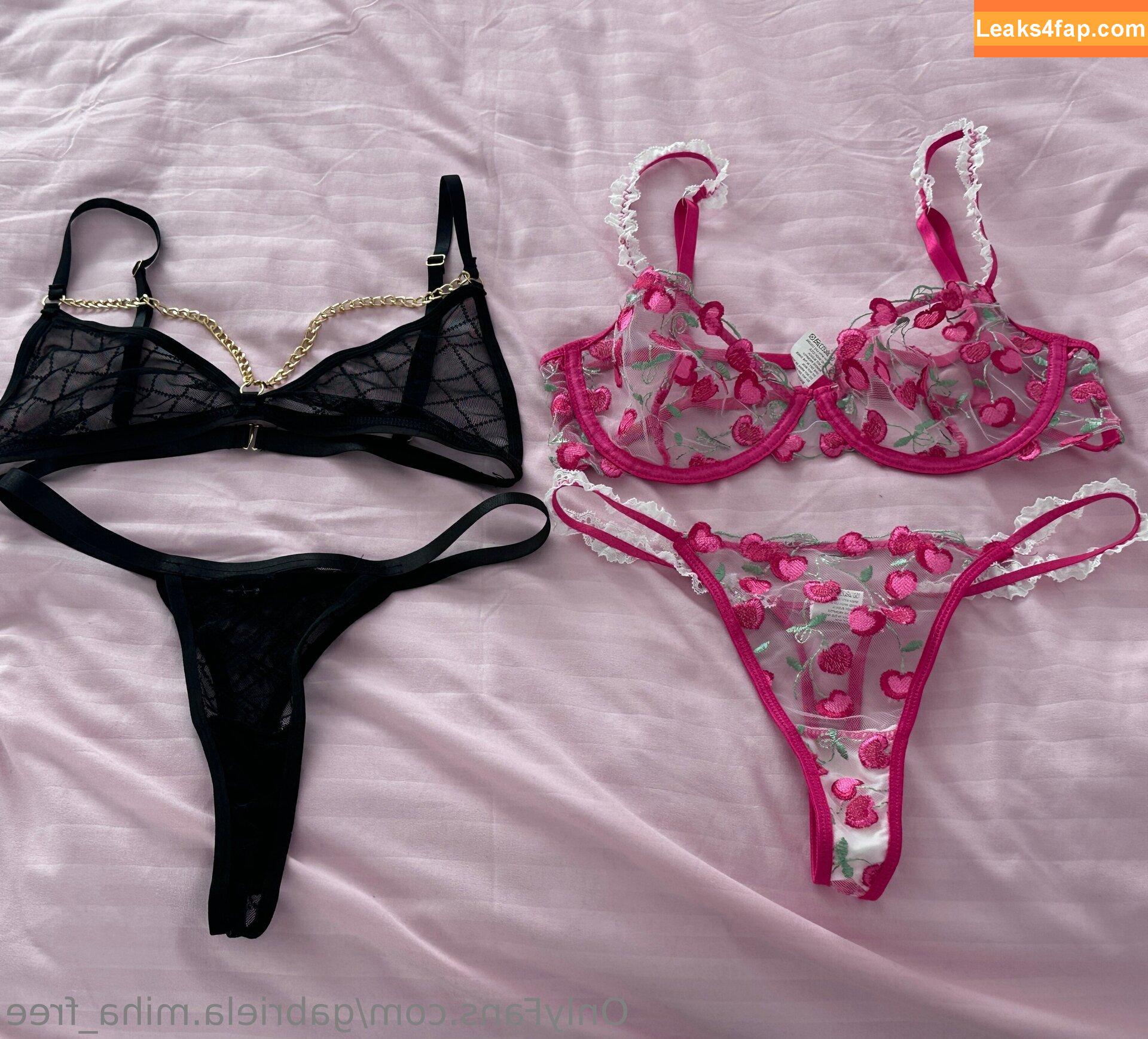 gabriela.miha_free / gabrielle_m90 leaked photo photo #0009