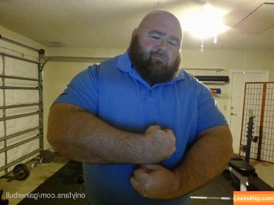 gainerbull /  leaked photo photo #0014