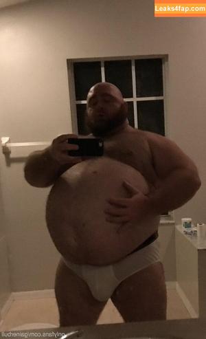 gainerbull photo #0005