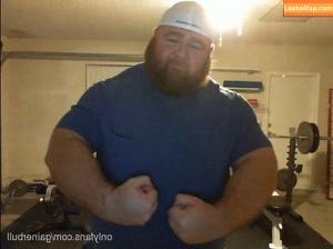 gainerbull photo #0010