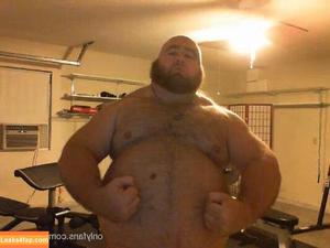 gainerbull photo #0013