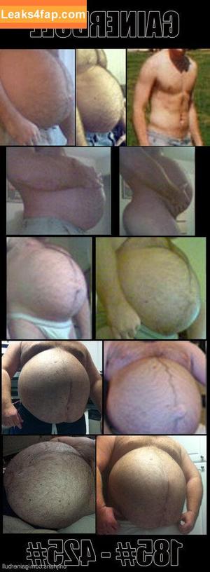 gainerbull photo #0024