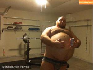 gainerbull photo #0026