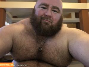 gainerbull photo #0031