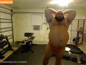 gainerbull photo #0036
