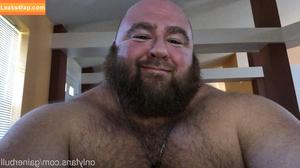 gainerbull photo #0041