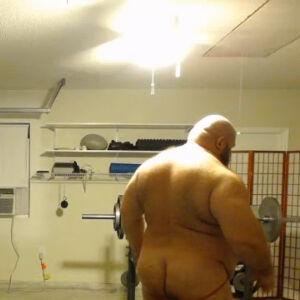 gainerbull photo #0051