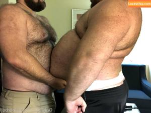 gainerbull photo #0063